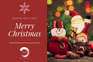 Merry Christmas Card